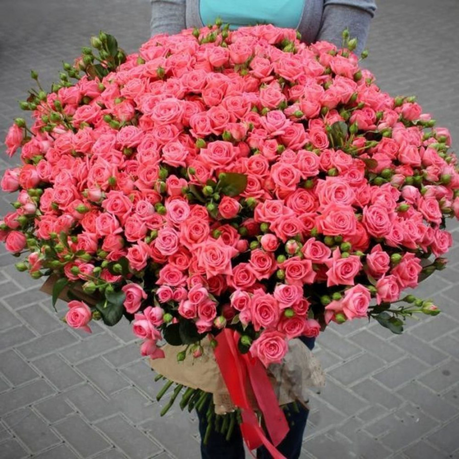 101 Кустовая Коралловая Роза